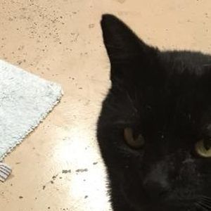 Meet your Posher, Annamarie